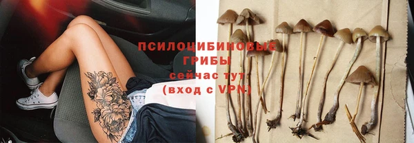 хмурый Белокуриха