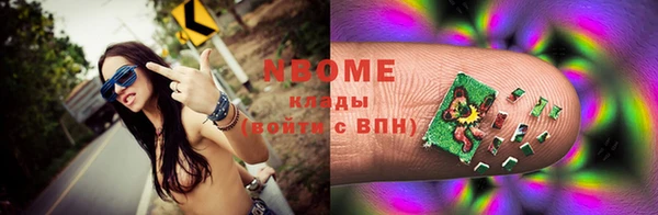 хмурый Белокуриха