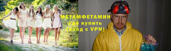 хмурый Белокуриха