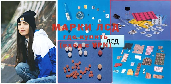 хмурый Белокуриха